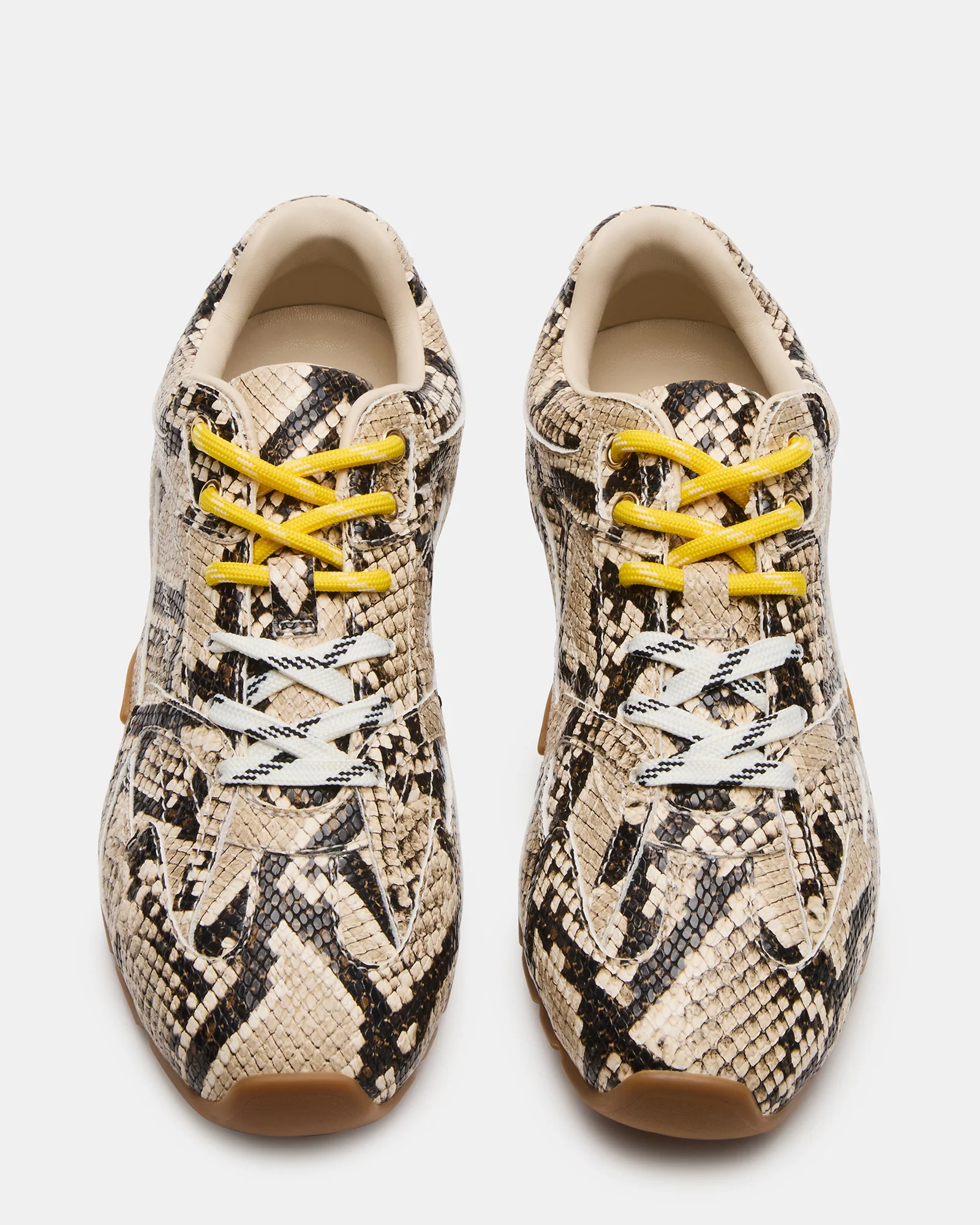 AZIEL TAN SNAKE - Image 5