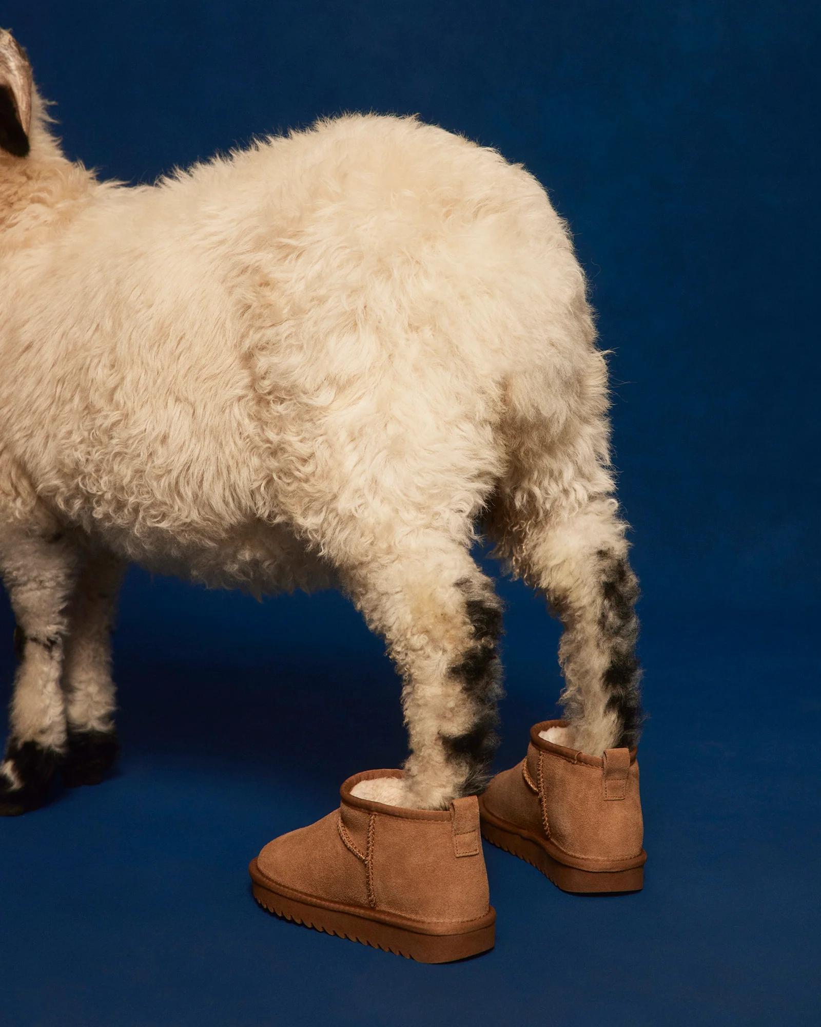 CABIN TAN SUEDE - Image 7