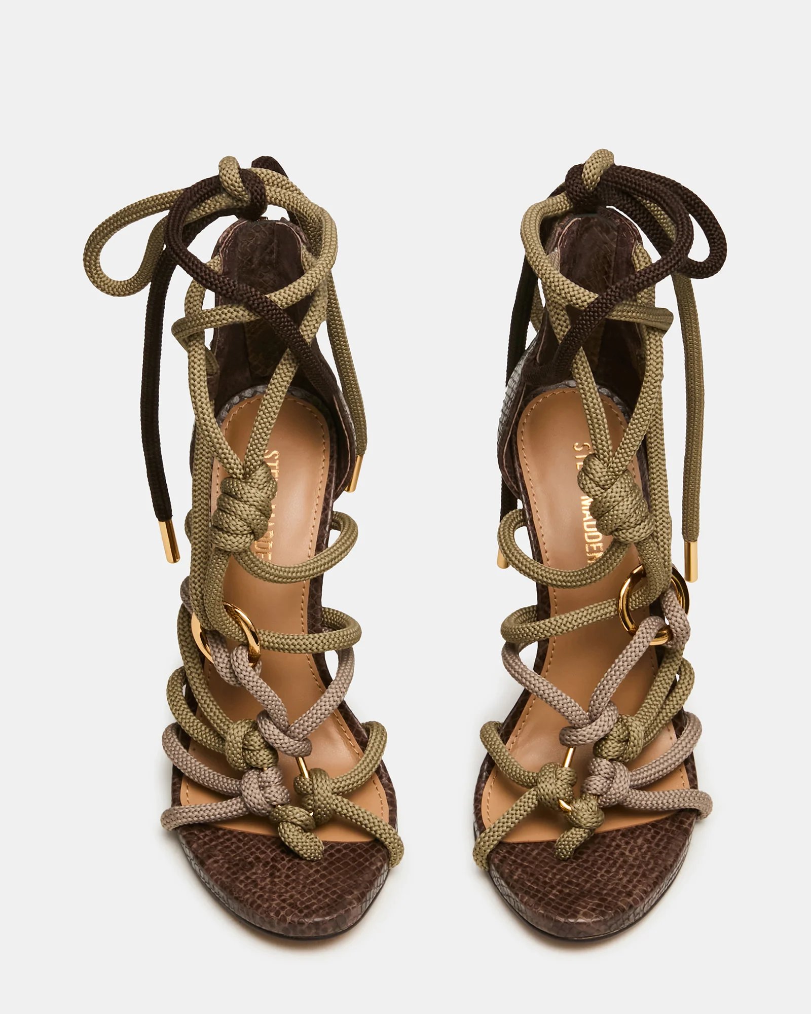 CATNYSS OLIVE - Image 5