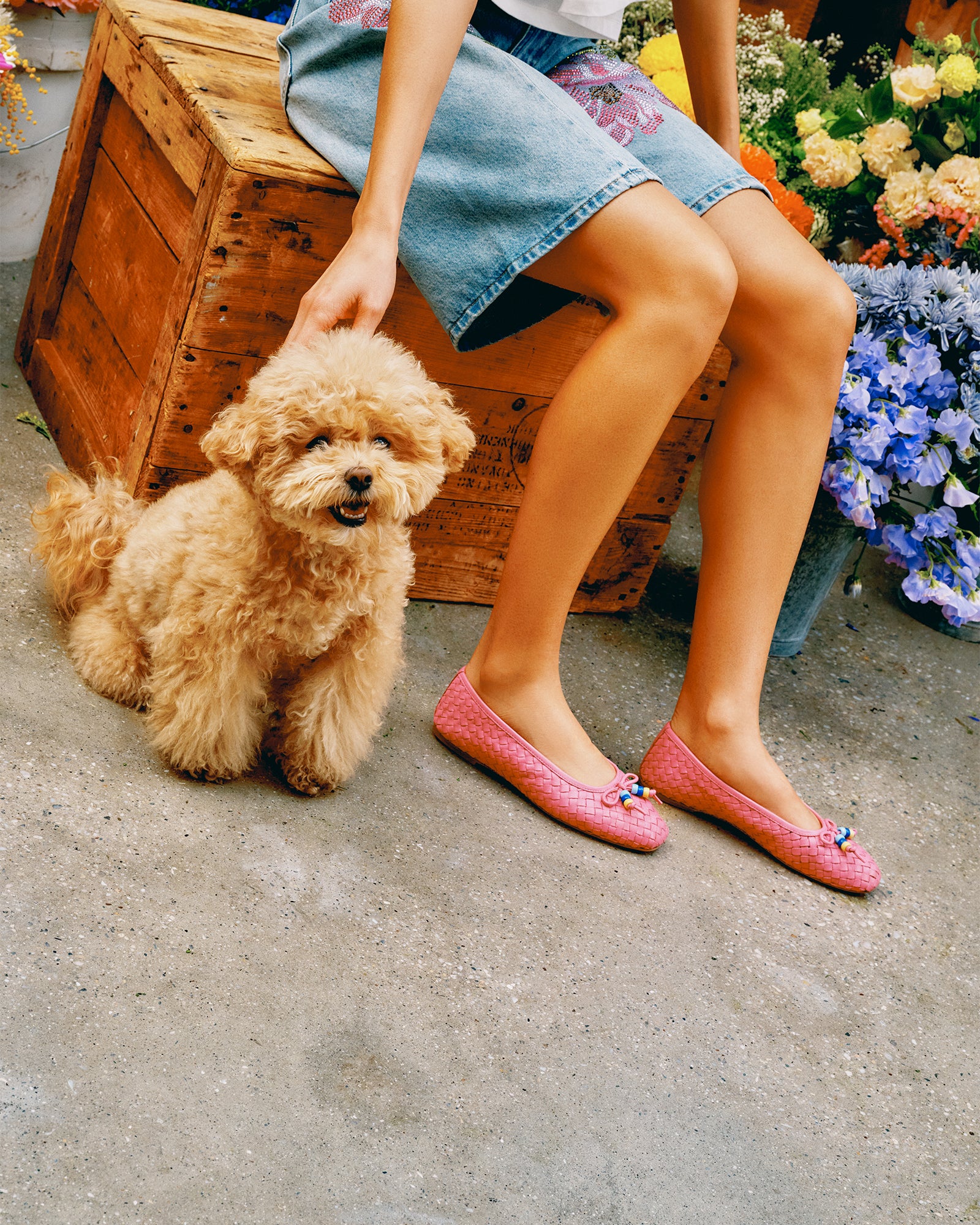 DIVY PINK LEATHER - Image 7