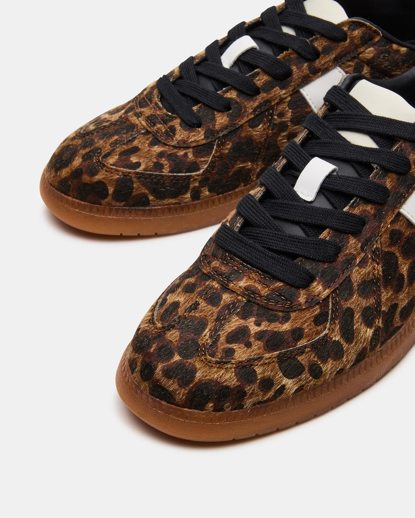 DIXON LEOPARD - Image 4