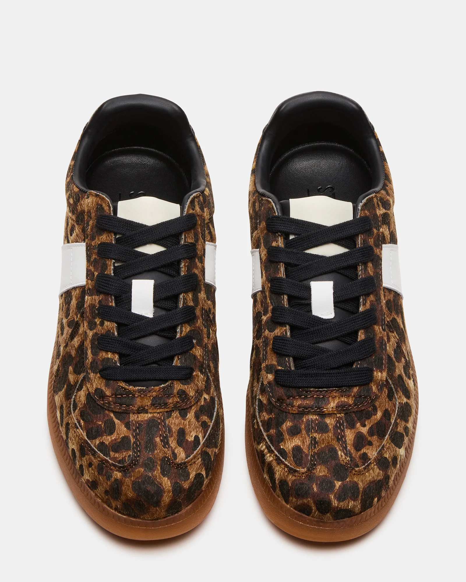 DIXON LEOPARD - Image 5