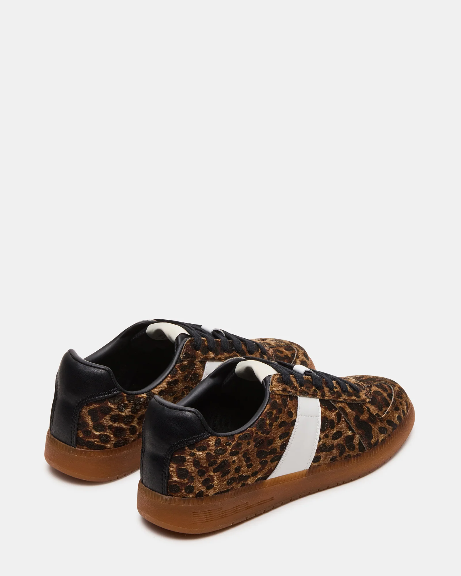 DIXON LEOPARD - Image 6