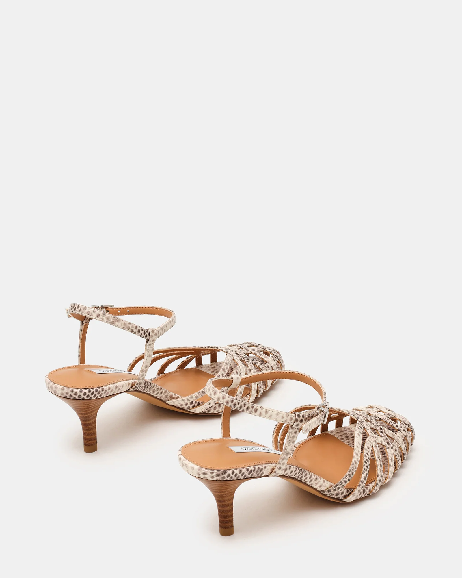 EDIN SNAKE - Image 5