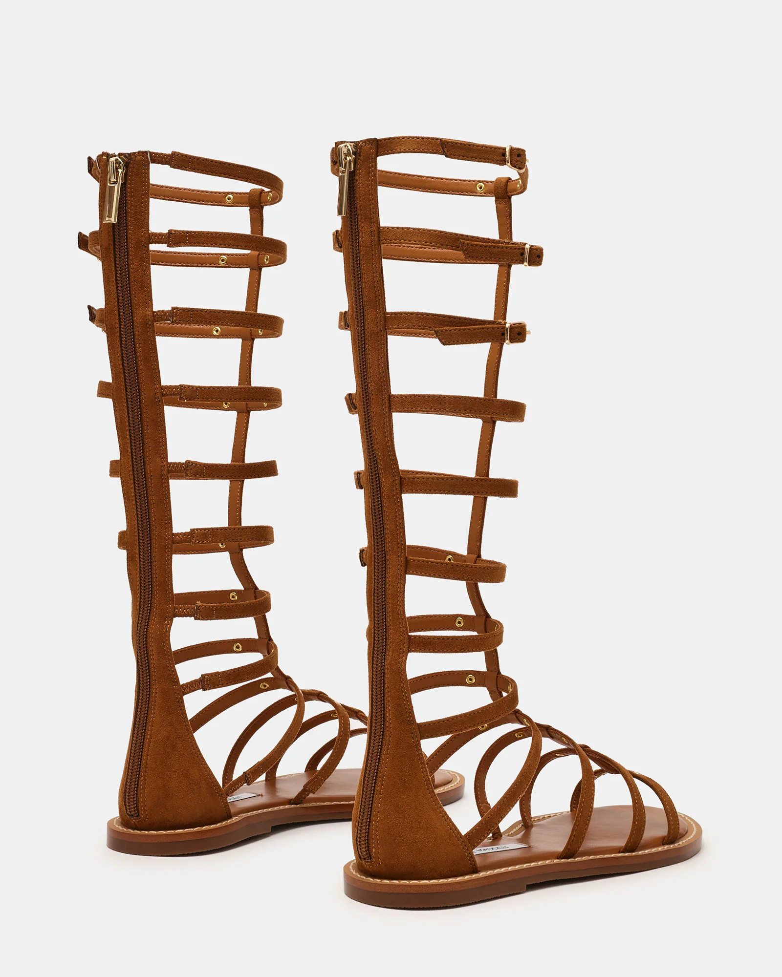 GLADIUS CHESTNUT - Image 5