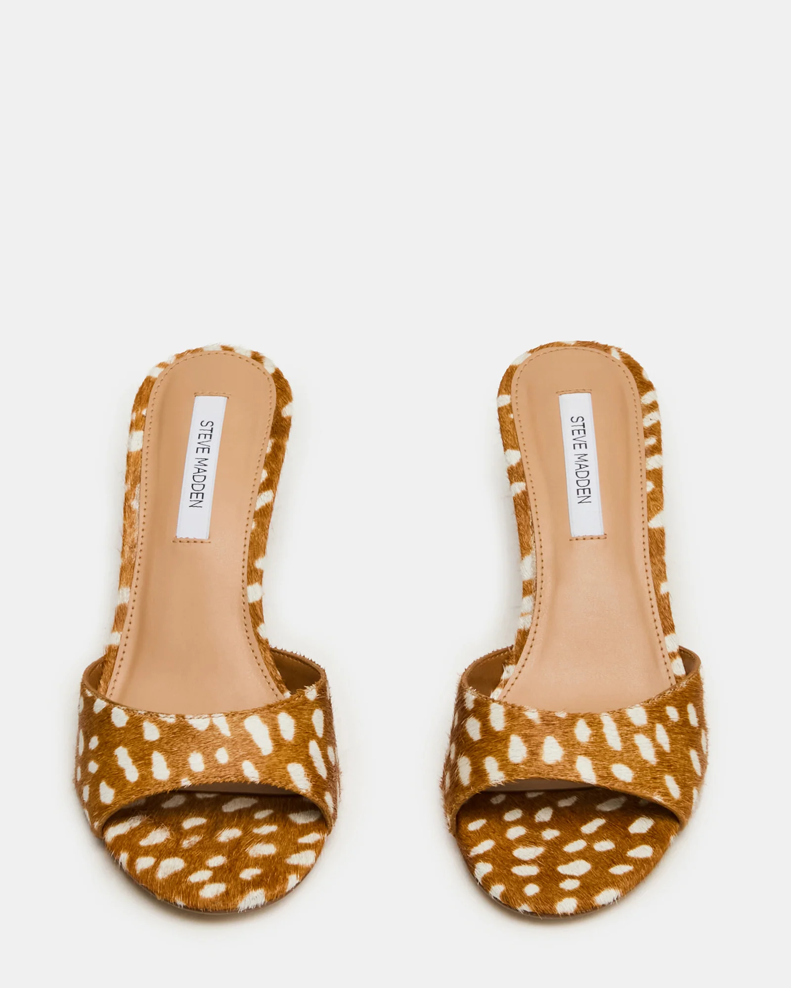 KENDRIX FAWN - Image 4