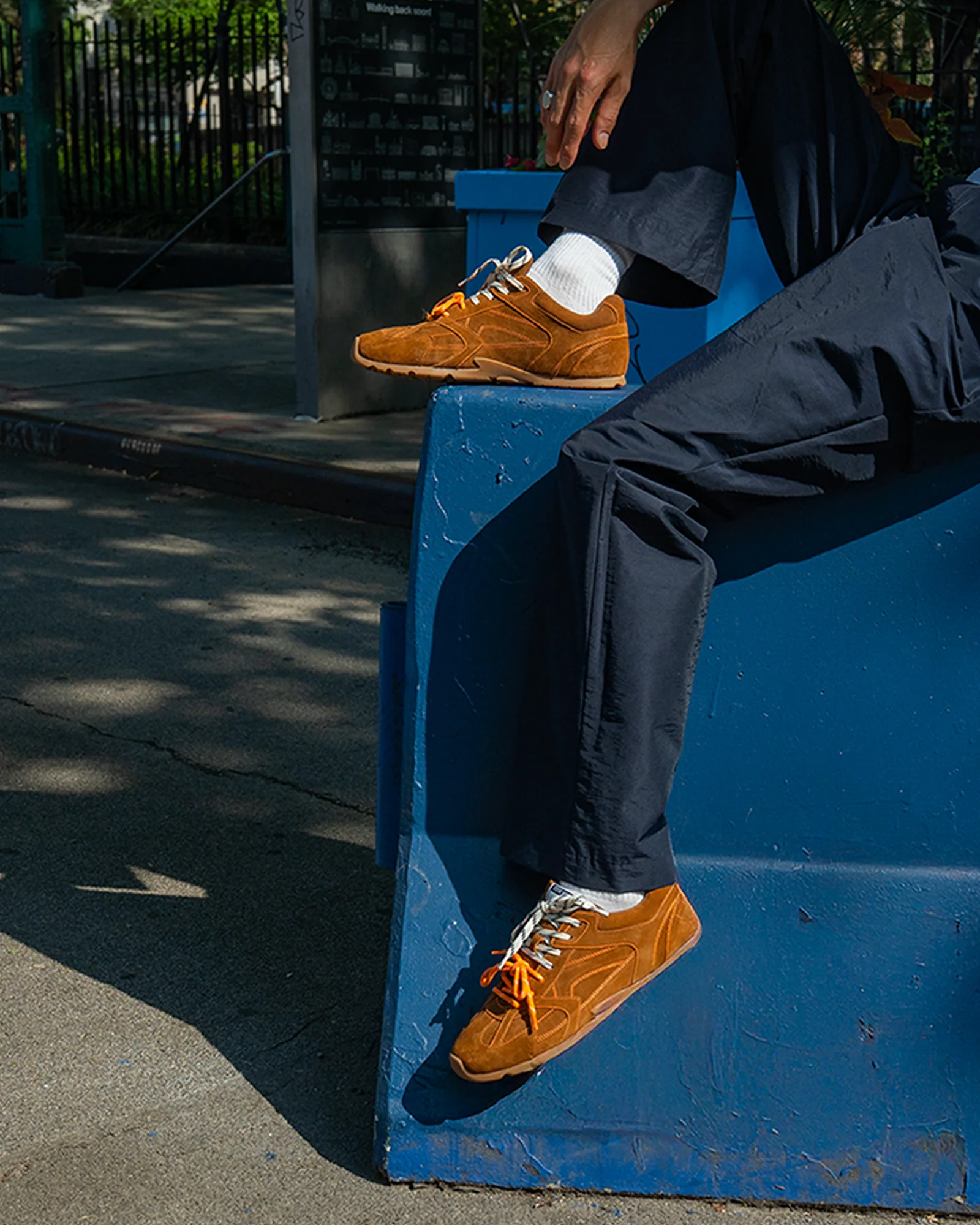 MIDAS CHESTNUT - Image 8