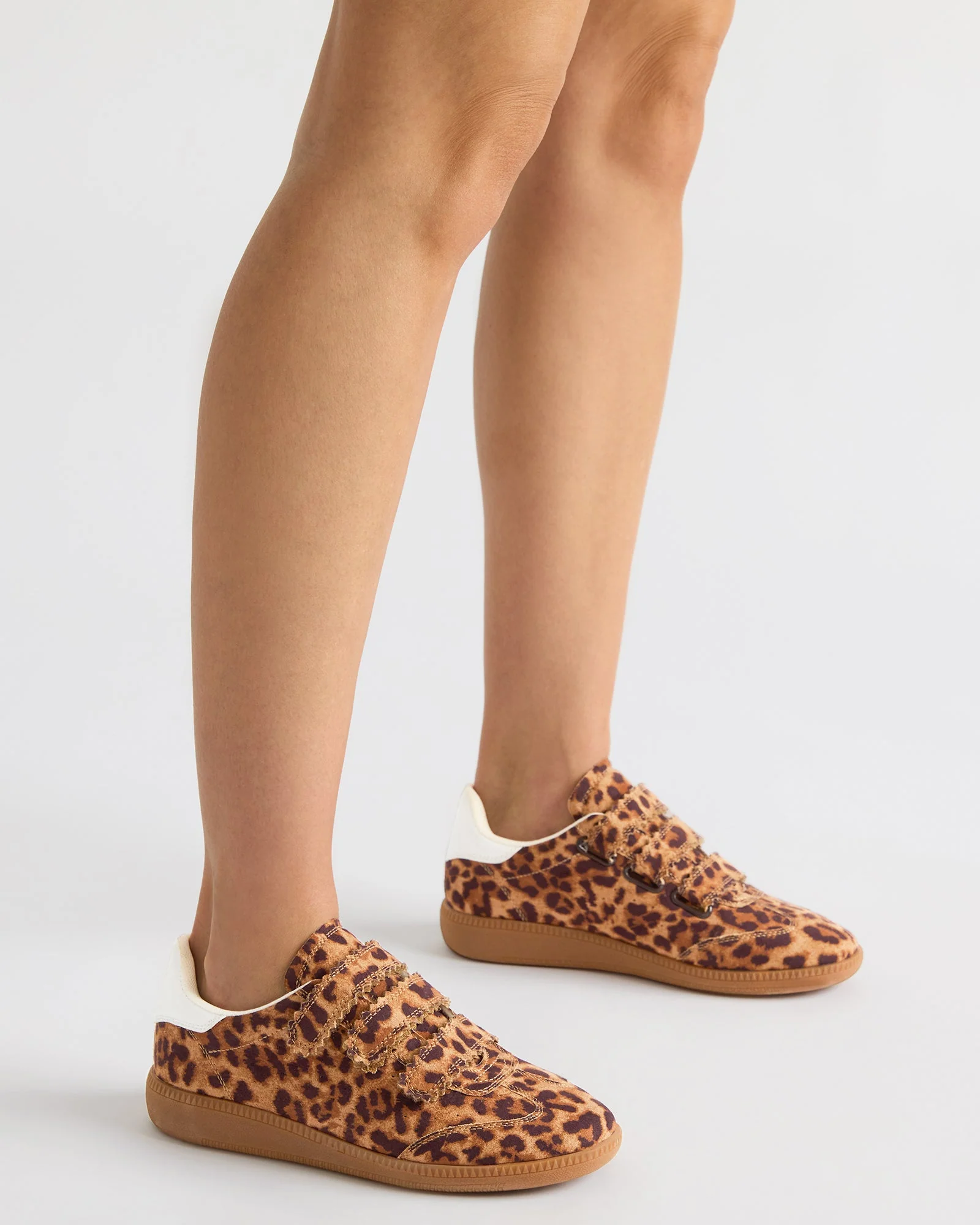MOMENTUM LEOPARD - Image 2