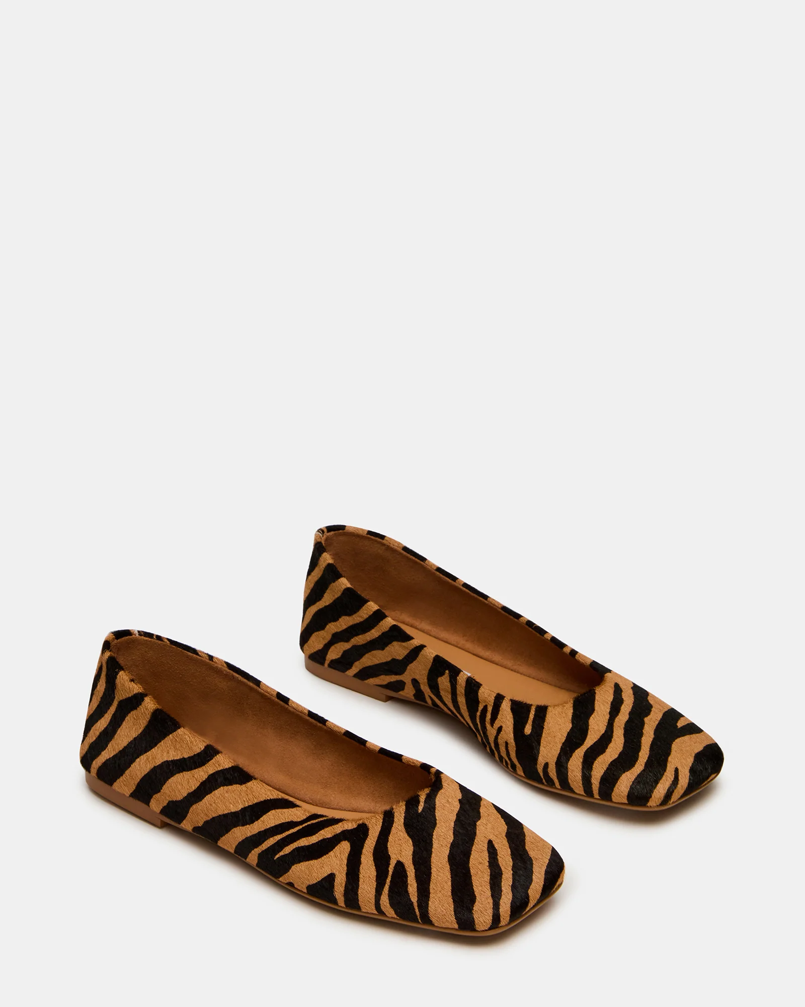 NURTURE ZEBRA - Image 2