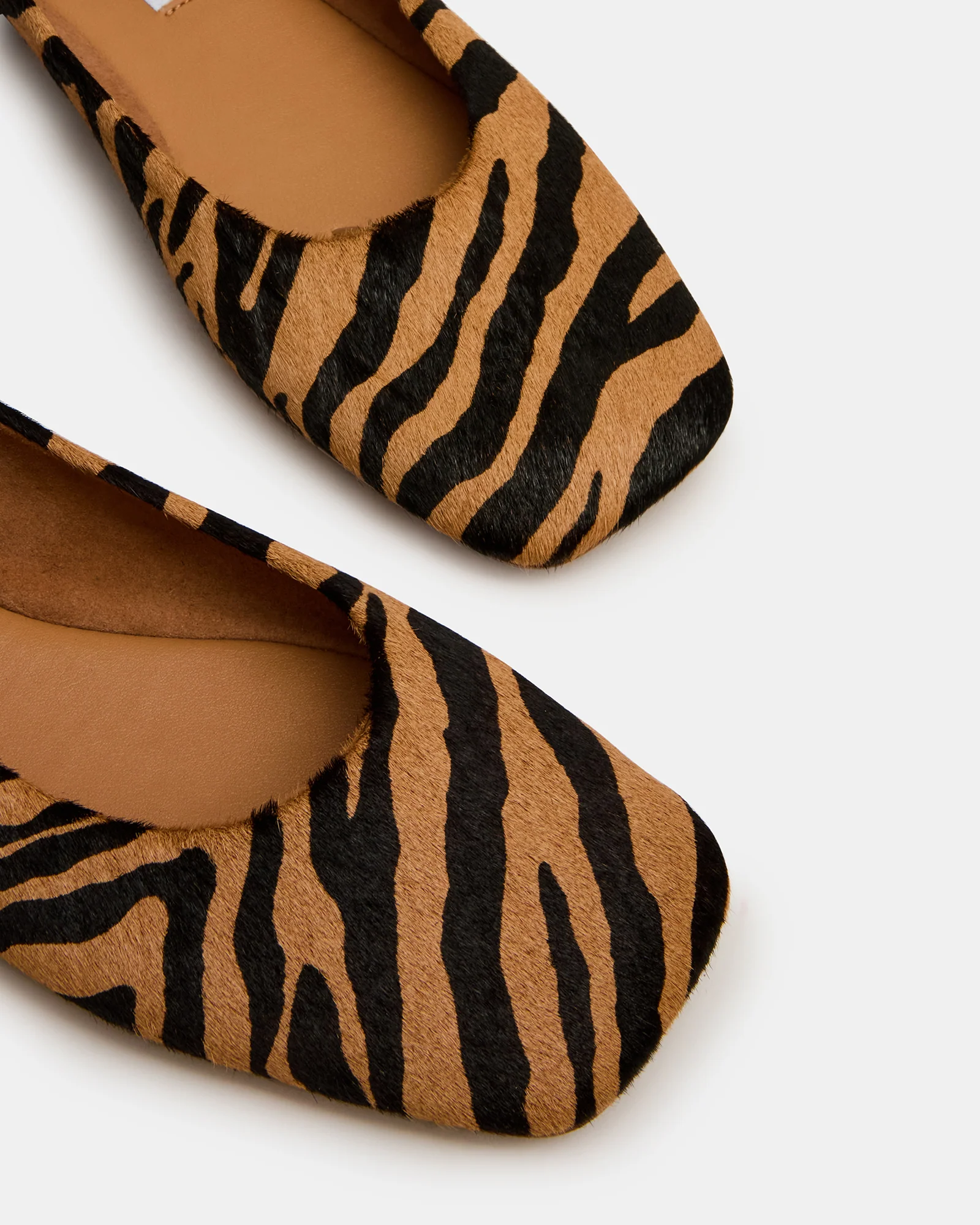 NURTURE ZEBRA - Image 3