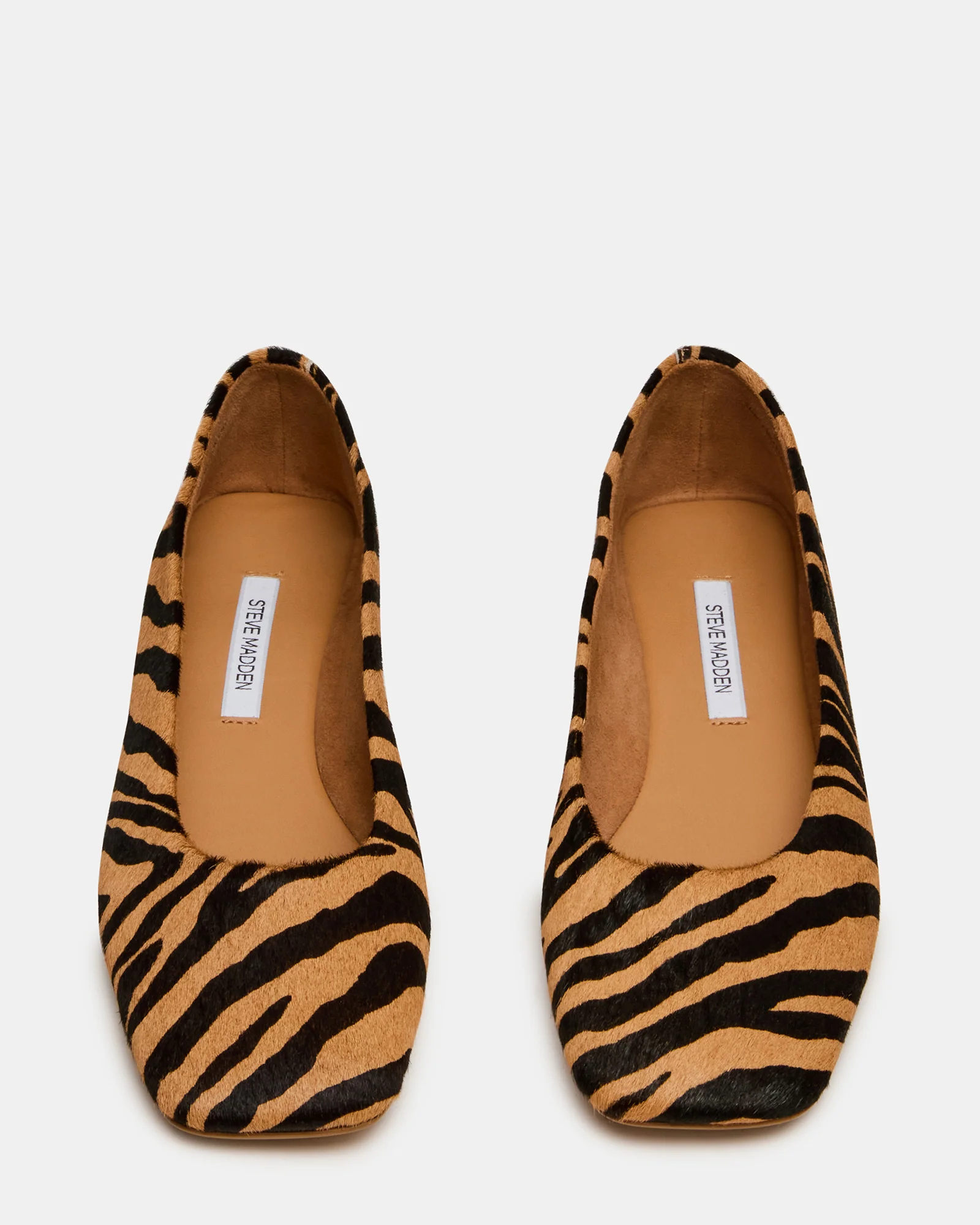 NURTURE ZEBRA - Image 4