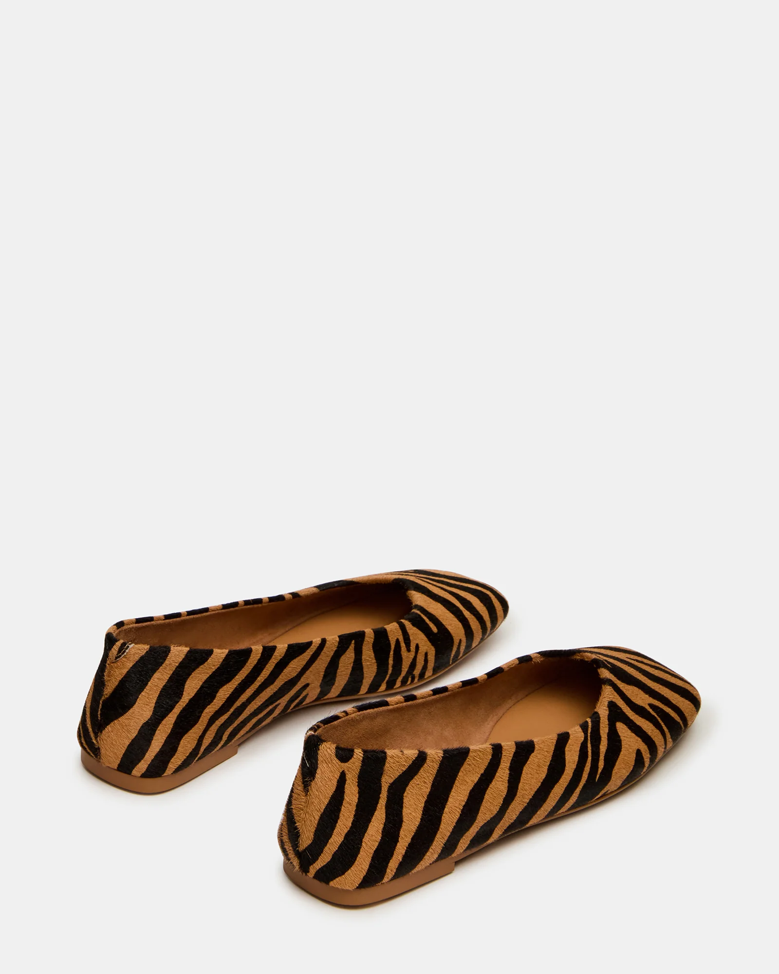 NURTURE ZEBRA - Image 5