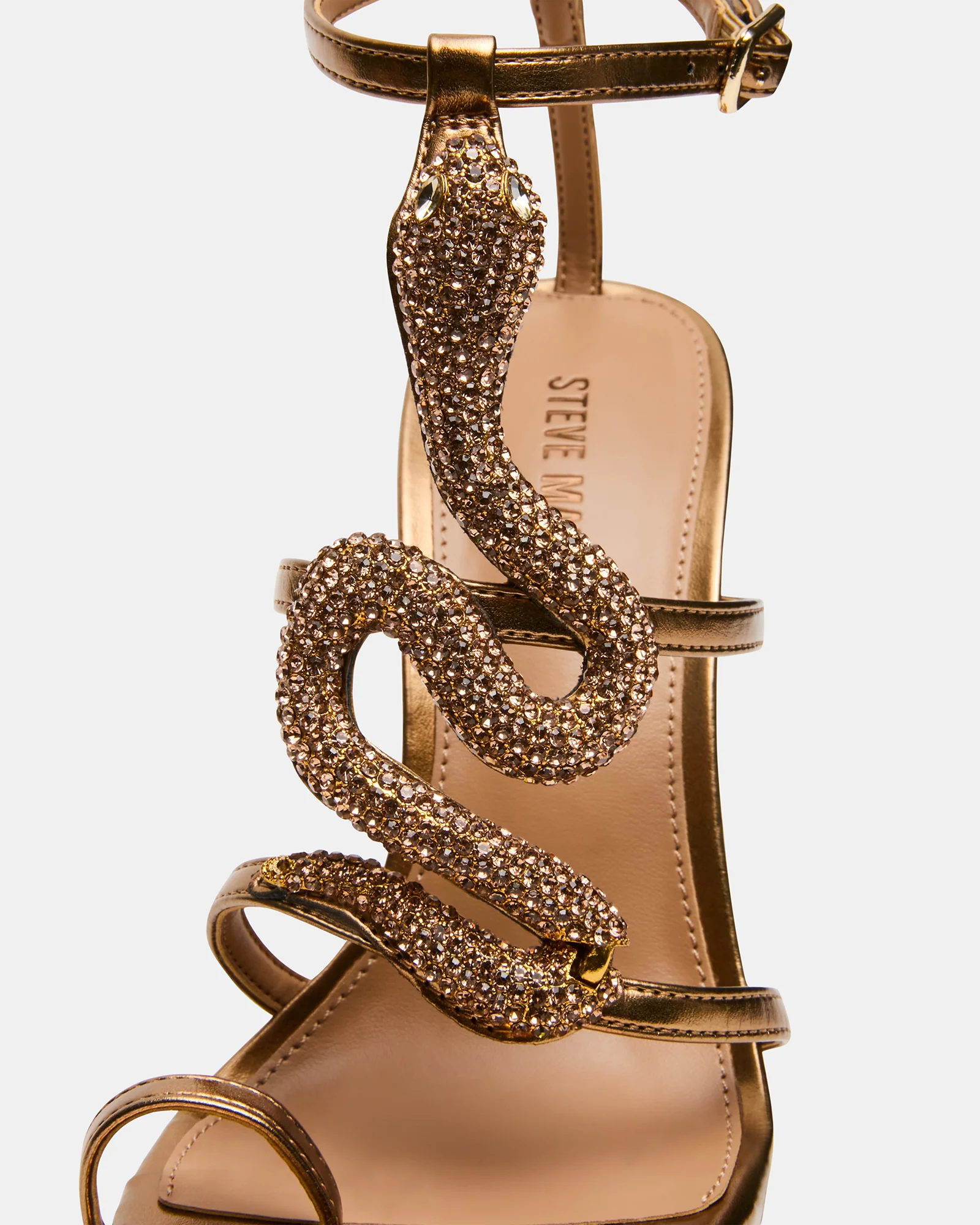 PYTHON BRONZE - Image 3