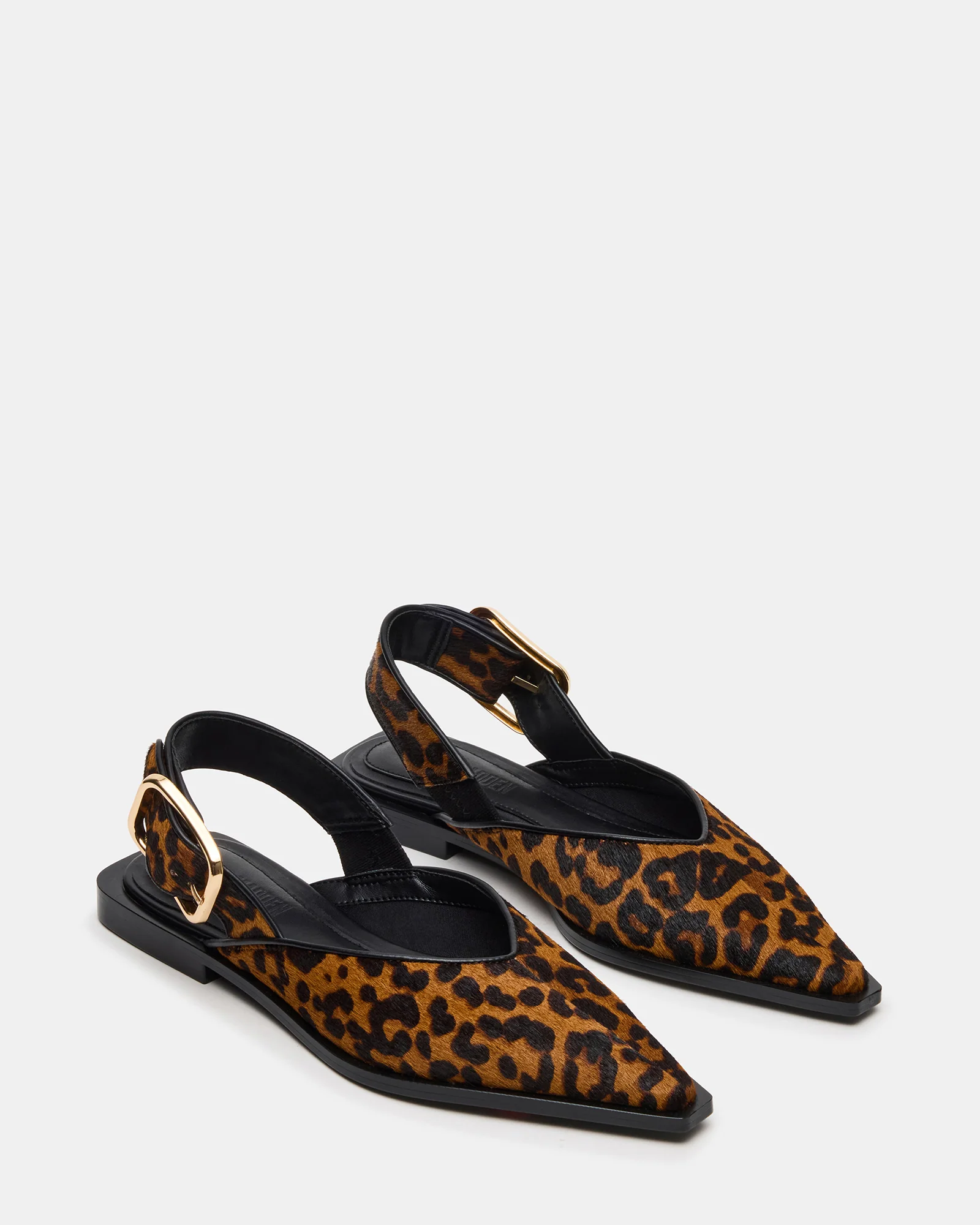 SHAY LEOPARD - Image 2