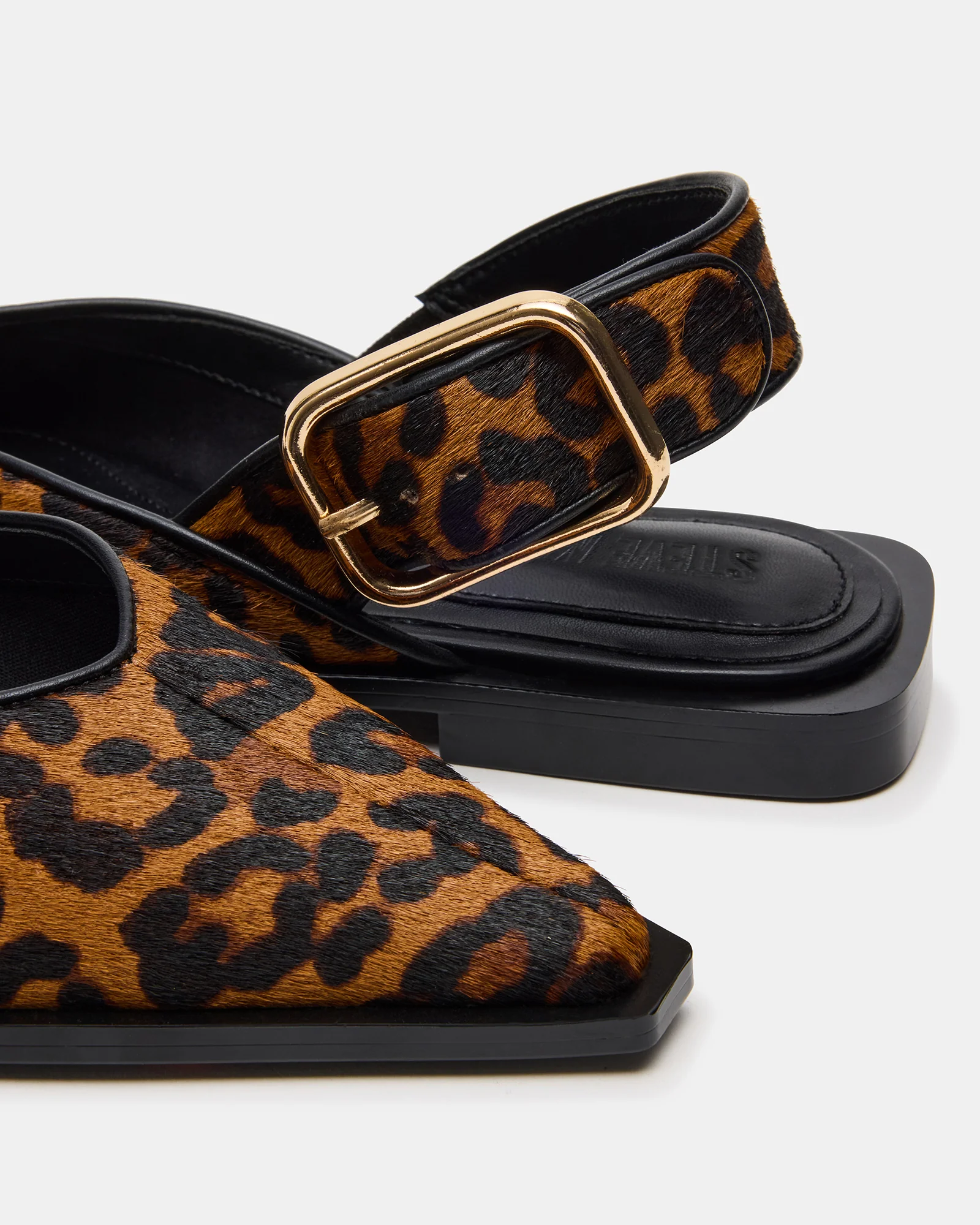 SHAY LEOPARD - Image 3