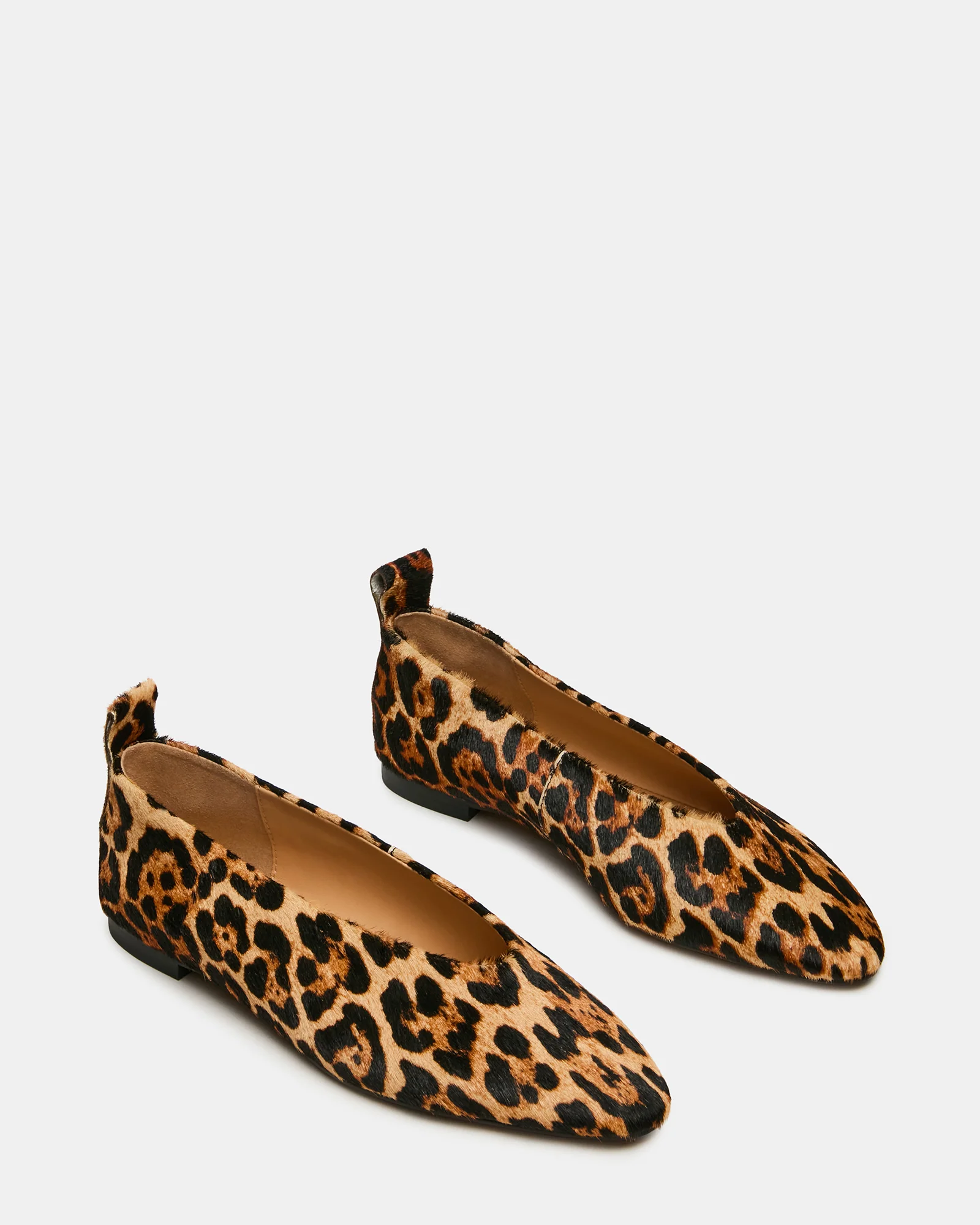 SWANKY LEOPARD - Image 2
