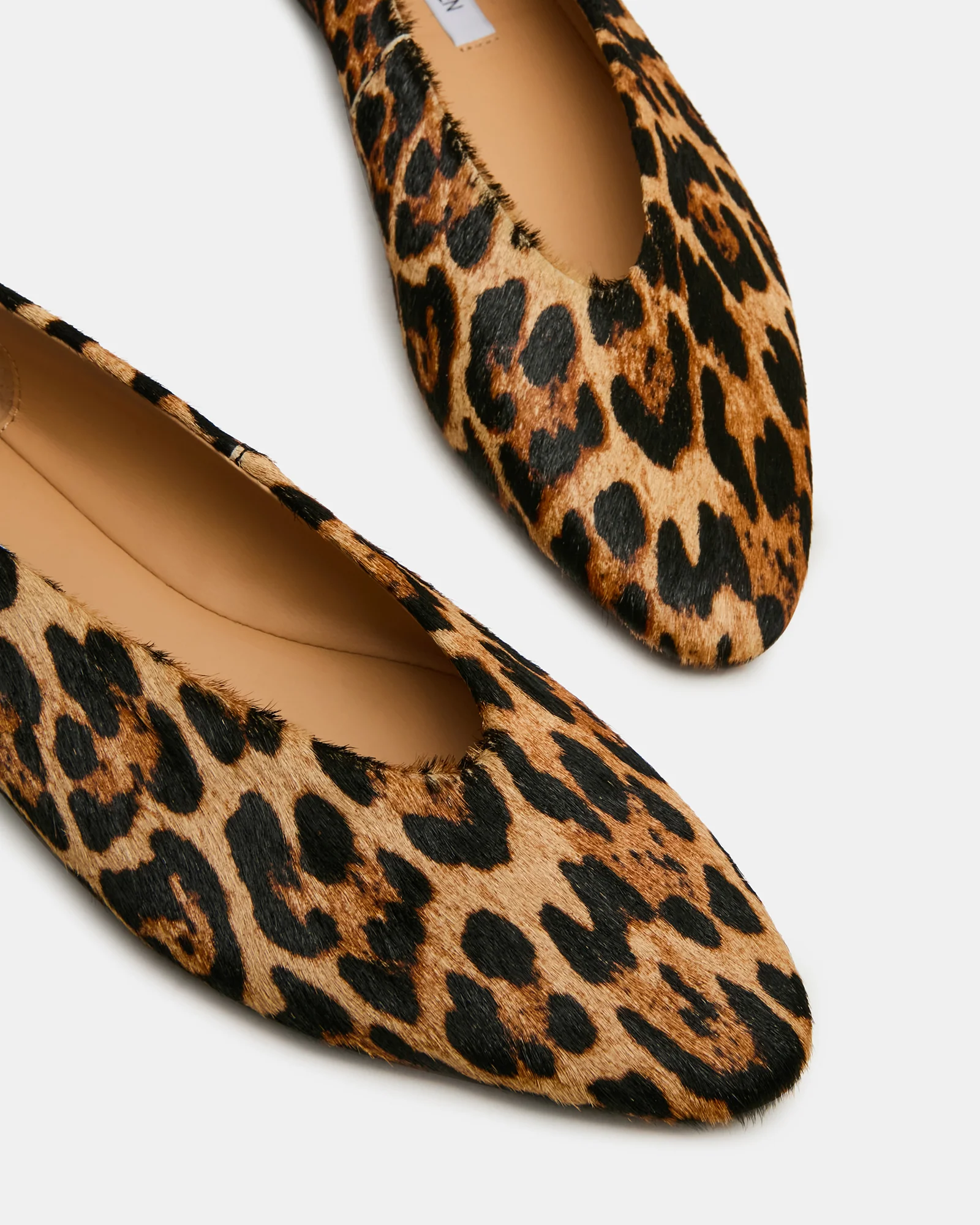 SWANKY LEOPARD - Image 3